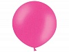 � 350/010 ������� Rose ������