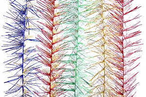 ������ � 10, �������, 2 �