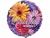 � 18" HB ����� ���� S40