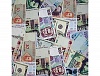 ������ ���� ������ 67�99��